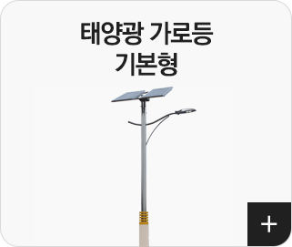 기본형
